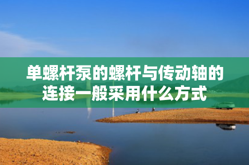 单螺杆泵的螺杆与传动轴的连接一般采用什么方式