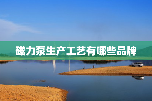 磁力泵生产工艺有哪些品牌