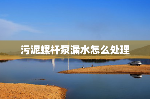 污泥螺杆泵漏水怎么处理