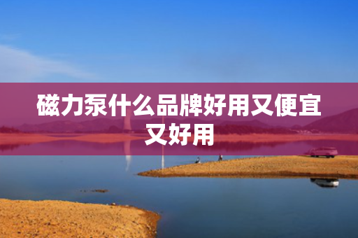 磁力泵什么品牌好用又便宜又好用