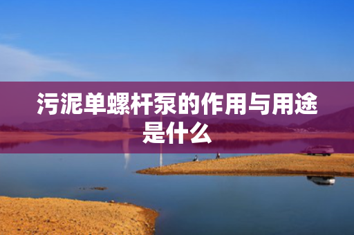 污泥单螺杆泵的作用与用途是什么