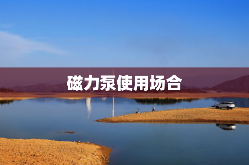 磁力泵使用场合