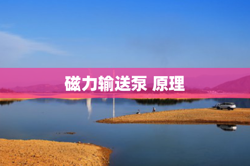 磁力输送泵 原理 磁力输送泵 原理