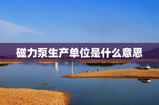 磁力泵生产单位是什么意思 磁力泵生产单位是什么意思