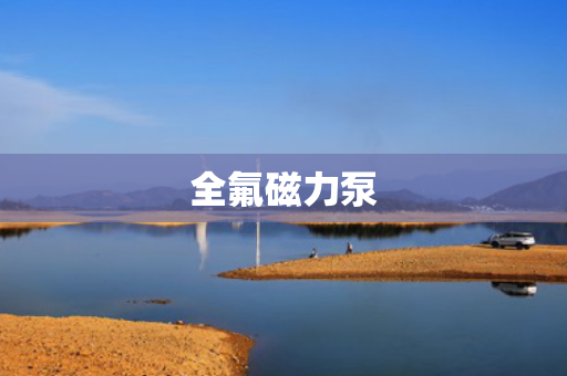 全氟磁力泵 全氟磁力泵