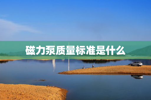 磁力泵质量标准是什么