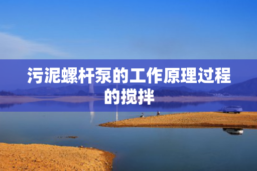污泥螺杆泵的工作原理过程的搅拌 污泥螺杆泵的工作原理过程的搅拌
