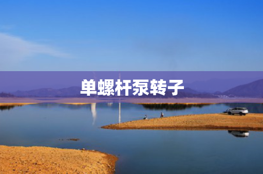 单螺杆泵转子 单螺杆泵转子