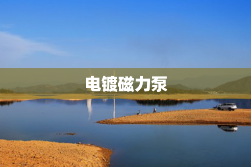 电镀磁力泵 电镀磁力泵