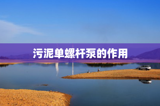 污泥单螺杆泵的作用 污泥单螺杆泵的作用