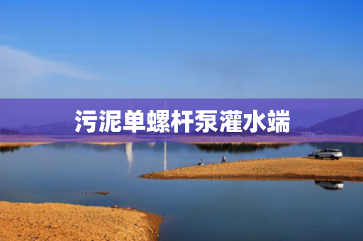 污泥单螺杆泵灌水端 污泥单螺杆泵灌水端