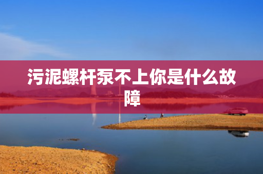 污泥螺杆泵不上你是什么故障 污泥螺杆泵不上你是什么故障