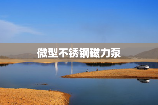 微型不锈钢磁力泵