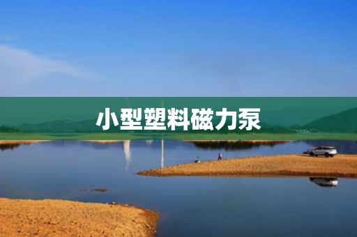 小型塑料磁力泵