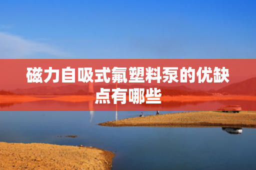 磁力自吸式氟塑料泵的优缺点有哪些 磁力自吸式氟塑料泵的优缺点有哪些