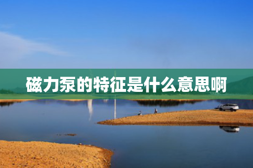 磁力泵的特征是什么意思啊