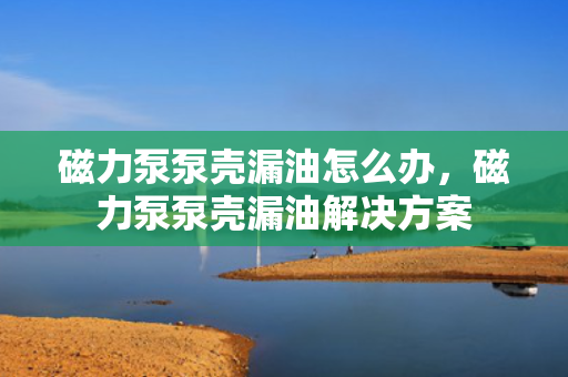 磁力泵泵壳漏油怎么办，磁力泵泵壳漏油解决方案