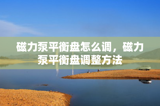 磁力泵平衡盘怎么调，磁力泵平衡盘调整方法