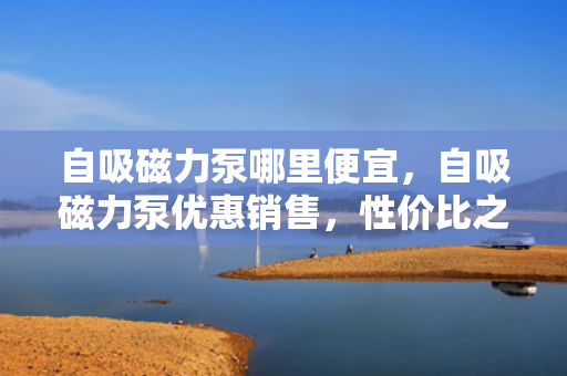 自吸磁力泵哪里便宜，自吸磁力泵优惠销售，性价比之选