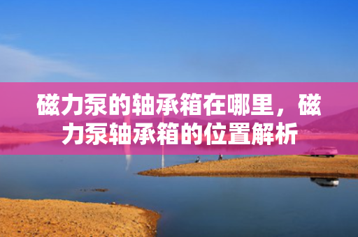 磁力泵的轴承箱在哪里，磁力泵轴承箱的位置解析