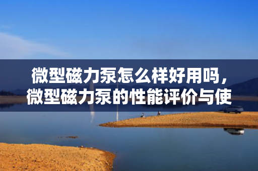 微型磁力泵怎么样好用吗，微型磁力泵的性能评价与使用体验