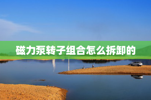 磁力泵转子组合怎么拆卸的