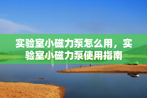 实验室小磁力泵怎么用，实验室小磁力泵使用指南