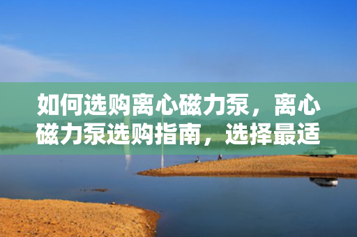 如何选购离心磁力泵，离心磁力泵选购指南，选择***适合您的泵型