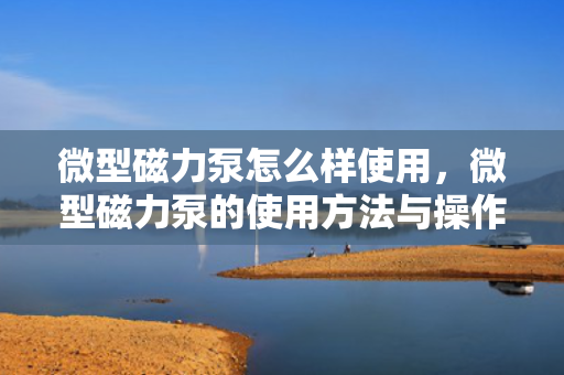 微型磁力泵怎么样使用，微型磁力泵的使用方法与操作指南