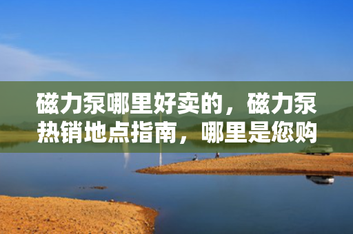 磁力泵哪里好卖的，磁力泵热销地点指南，哪里是您购买磁力泵的***佳选择？