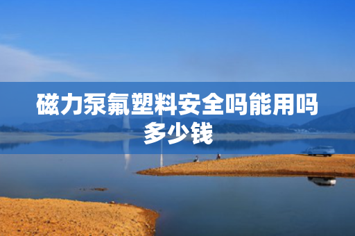 磁力泵氟塑料安全吗能用吗多少钱