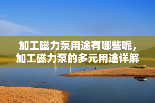 加工磁力泵用途有哪些呢，加工磁力泵的多元用途详解