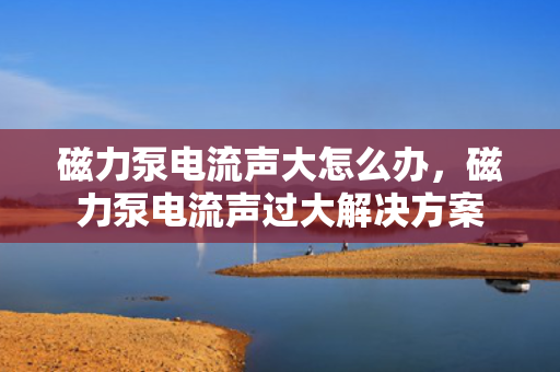 磁力泵电流声大怎么办，磁力泵电流声过大解决方案