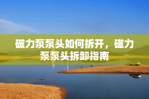 磁力泵泵头如何拆开，磁力泵泵头拆卸指南