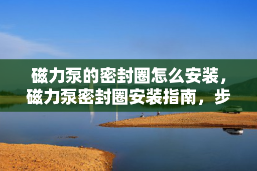 磁力泵的密封圈怎么安装，磁力泵密封圈安装指南，步骤详解与注意事项