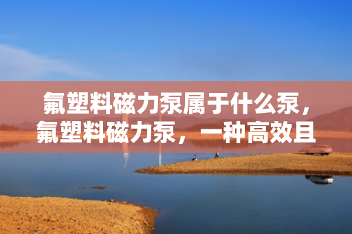 氟塑料磁力泵属于什么泵，氟塑料磁力泵，一种高效且耐腐蚀的特殊泵类