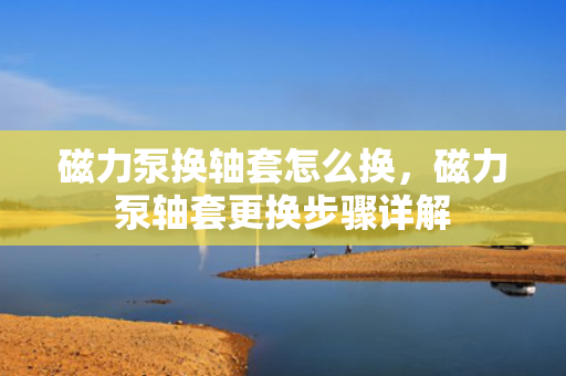 磁力泵换轴套怎么换，磁力泵轴套更换步骤详解