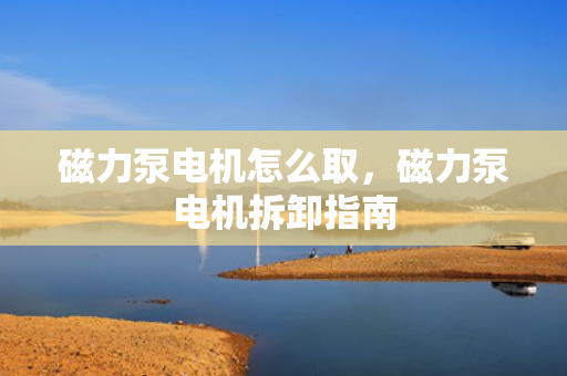 磁力泵电机怎么取，磁力泵电机拆卸指南