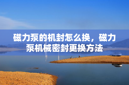 磁力泵的机封怎么换，磁力泵机械密封更换方法