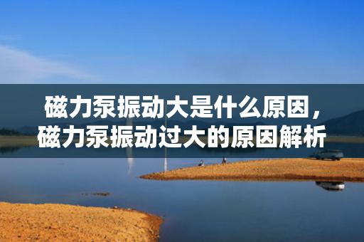 磁力泵振动大是什么原因，磁力泵振动过大的原因解析