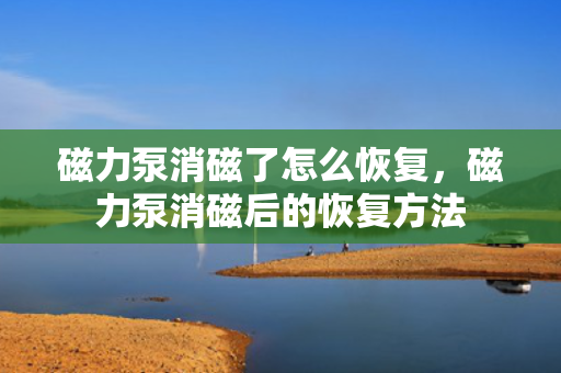 磁力泵消磁了怎么恢复，磁力泵消磁后的恢复方法