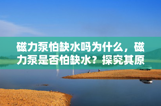 磁力泵怕缺水吗为什么，磁力泵是否怕缺水？探究其原因