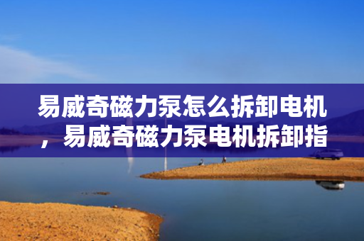 易威奇磁力泵怎么拆卸电机，易威奇磁力泵电机拆卸指南