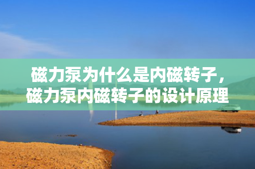 磁力泵为什么是内磁转子，磁力泵内磁转子的设计原理及其优势