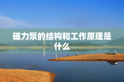 磁力泵的结构和工作原理是什么