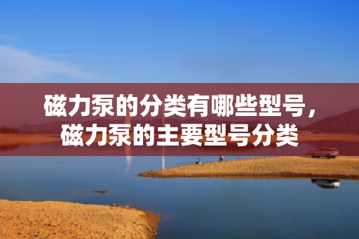 磁力泵的分类有哪些型号，磁力泵的主要型号分类