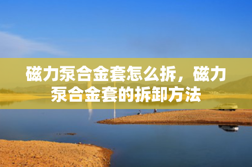 磁力泵合金套怎么拆，磁力泵合金套的拆卸方法