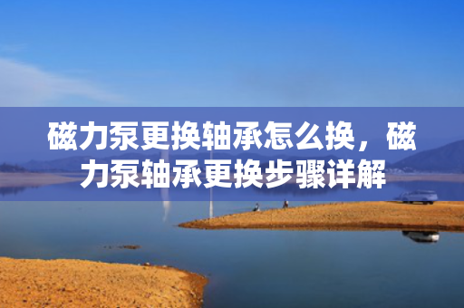 磁力泵更换轴承怎么换，磁力泵轴承更换步骤详解