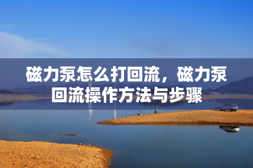 磁力泵怎么打回流，磁力泵回流操作方法与步骤