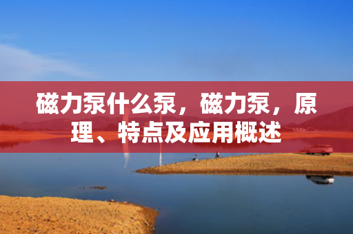 磁力泵什么泵，磁力泵，原理、特点及应用概述